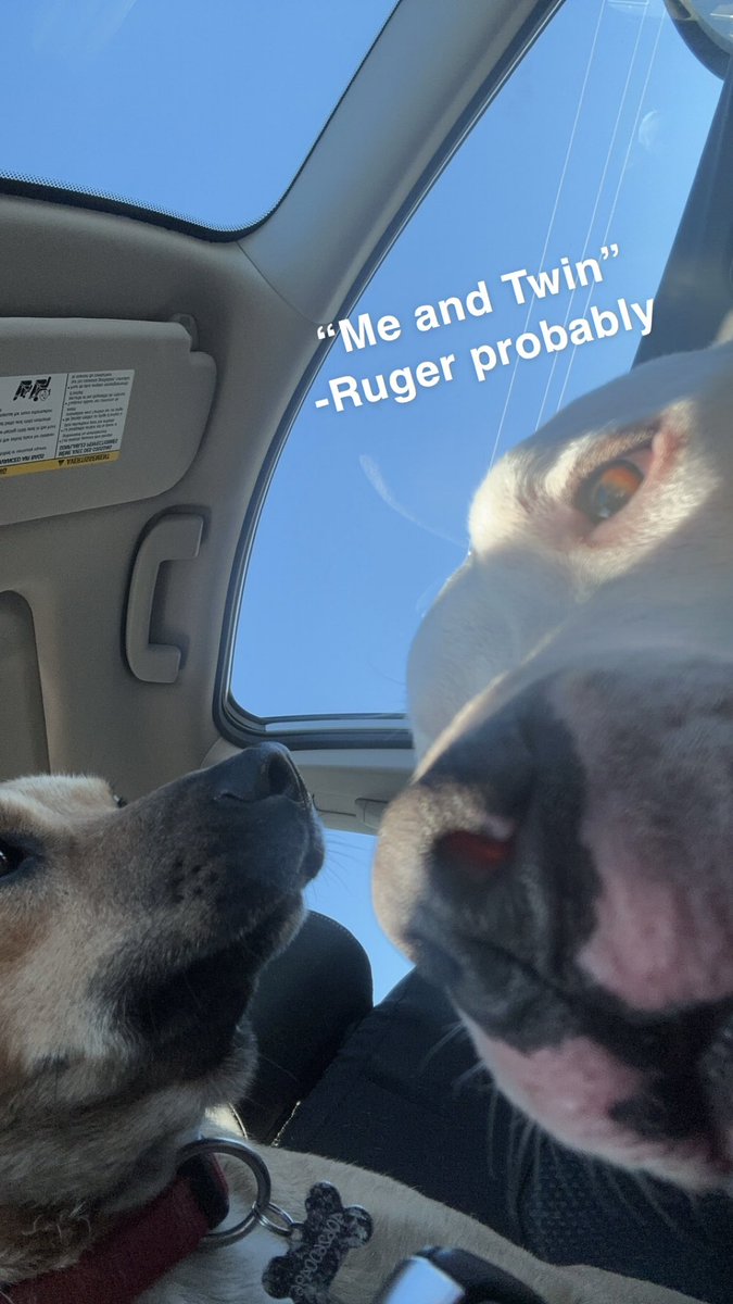 Bradly Nieves tweet media