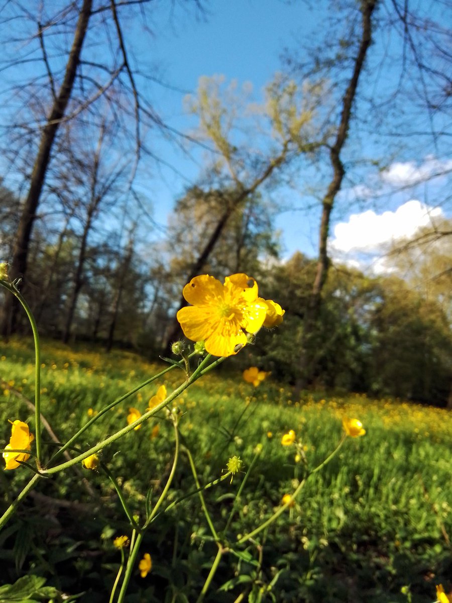 Spring time #picoftheday #bkuesky #springday #photographer #photograghy