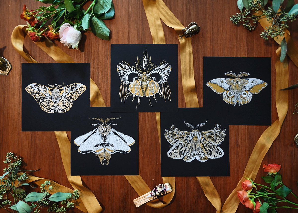 Coven Specimen Moths Collection is available in the shop now