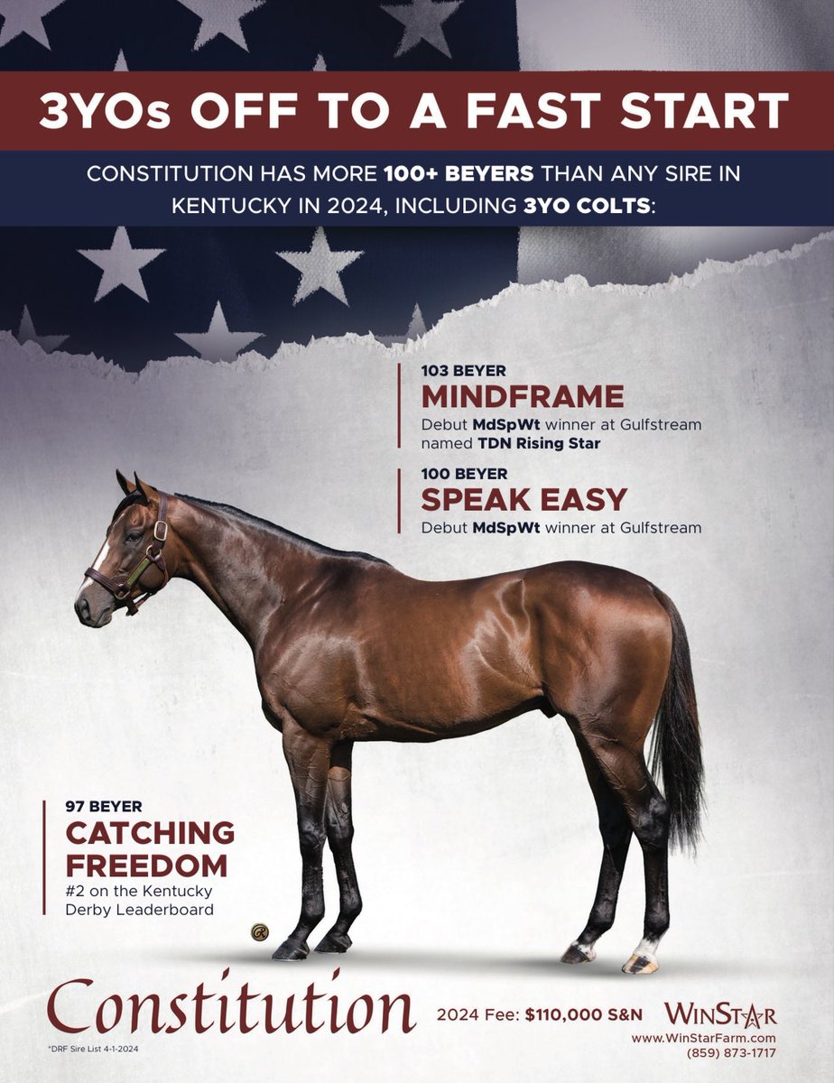 CONSTITUTION’s 3YOs are off to a fast start 🇺🇸 He has more 100+ Beyers than any sire in Kentucky in 2024, including 3YO colts Mindframe and Speak Easy. Also the sire of Catching Freedom, #2 on the Kentucky Derby leaderboard. 📍 @WinStarFarm