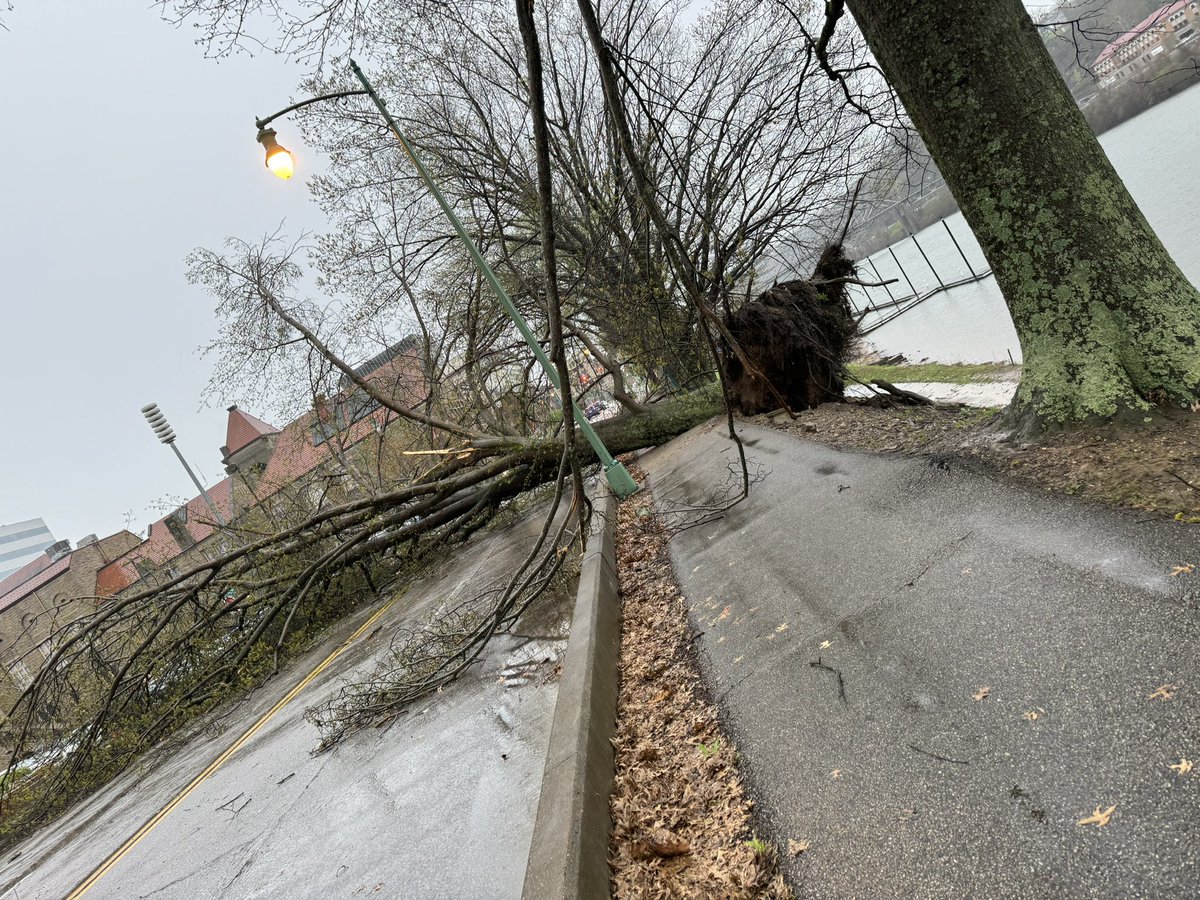 RMH208's tweet photo. Here is another tornado angle and some of the aftermath in downtown Charleston, WV. I was with @evan_mckneely and you can see his view as well. https://t.co/jkZ9sxShoT