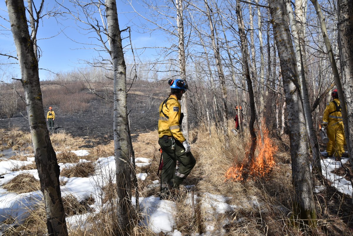 A small-scale prescribed fire in the Shirley Lake area is in progress. Prescribed fire is used to restore ecosystems and increase habitat. Smoke may be visible to visitors and nearby residents. For more info please contact: elkisland.fireinfo-infoincendie.elkisland@pc.gc.ca