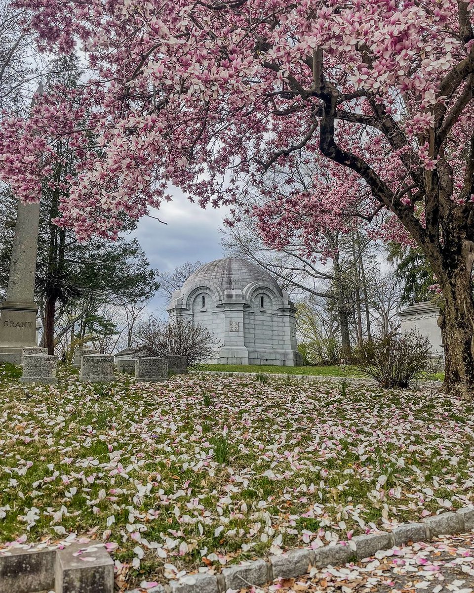 Be mesmerized as Westchester transforms into a dreamy cherry blossom wonderland this spring. 🌸 📍: Sleepy Hollow Cemetery (Sleepy Hollow, NY) 📸: IG: sleepyhollowcountry