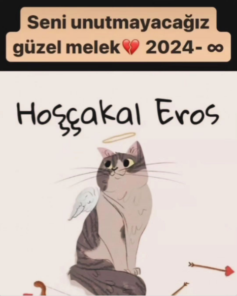 PAYLASIMLARIM BAZI KESİMLERİ RAHATSIZ ETMİS GELİP ÖZELDEN KUFUR EDİYORLAR BENİ YILDIRMAK İCİN AMA ASLA YILMAM SOYLUYUM İSTEDİĞİNİZ KADAR KUFUR EDİN BANA ASLA HERGUN BURDA YAZMAYA DEVAM EDİCEM EROS İCİN CUNKU BİLİYORUM Kİ YALNIZ DEĞİLİM BU YOLDA... #ibrahimkeloğlantutuklansın