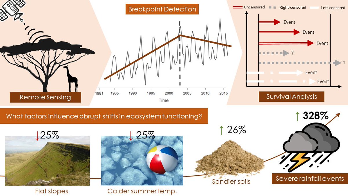|| NEW RESEARCH || Wetness severity increases abrupt shifts in ecosystem functioning in arid savannas 📄 onlinelibrary.wiley.com/doi/abs/10.111…