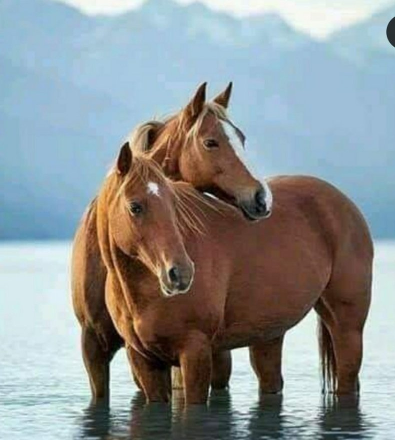 Siogo61's tweet photo. #Tm_Ruby
#TEAMSTALLION
@ruby2015xo @MarEthr
@italianostyle2
@bluea125 @R3_Adv
@MarthaCandia21
@BrettMGWV2
@JIMENAC__
@MARTHA_CAN2
@BrettMGWV @MoniT__
@electwave_music
@ONE_WORLD_UN
@moni_dollnature
@monicampon
@Spencerjames211
@nuvisionquestt2
@GRAHAM15583070
@Siogo61 @lumpie125 https://t.co/2vdRGBZ60u