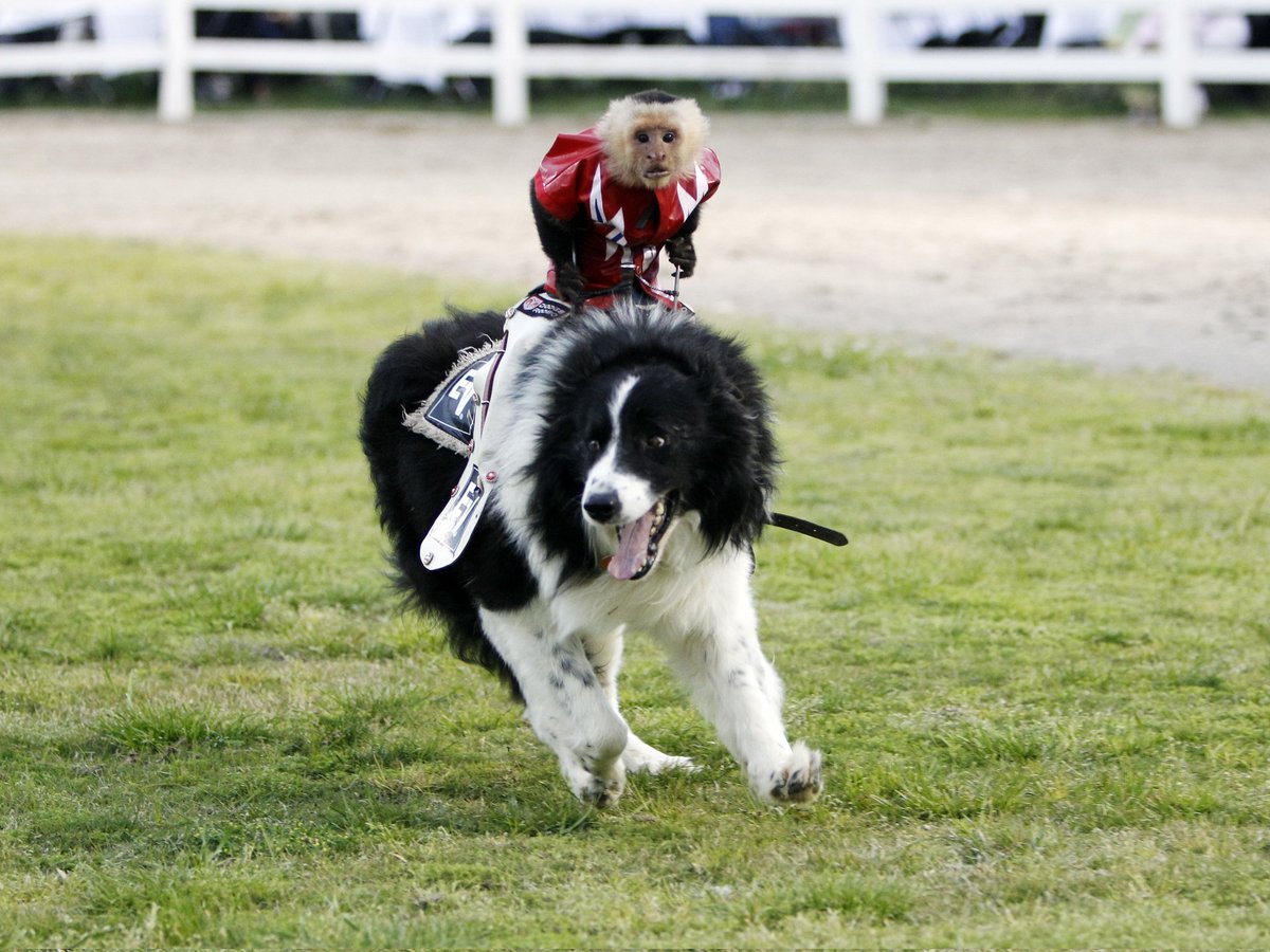 #GodzillaxKong  out of context 

BTW fantastic movie go watch it!