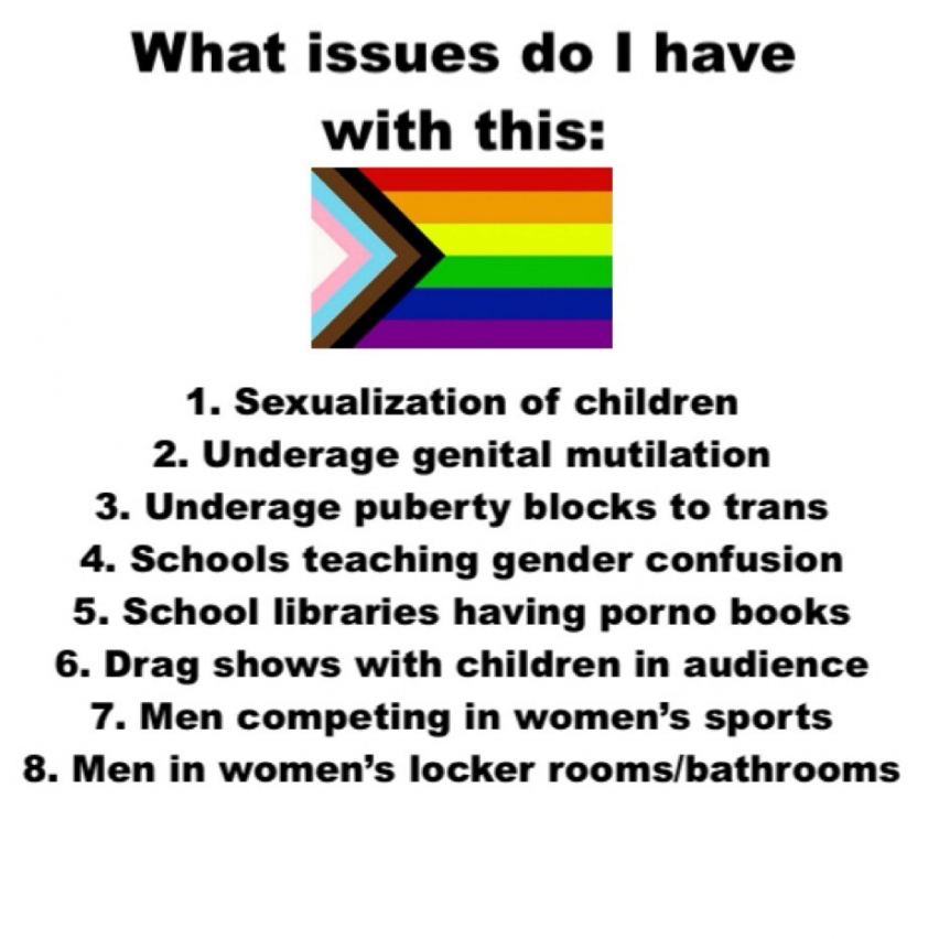 A FEW REASONS WHY I WILL NOT SUPPORT THE FANTASY OF PEOPLE WHO SUPPORT GENDER DYSPHORIA..... LEAVE OUR CHILDREN ALONE AND STOP GROOMING THEM.