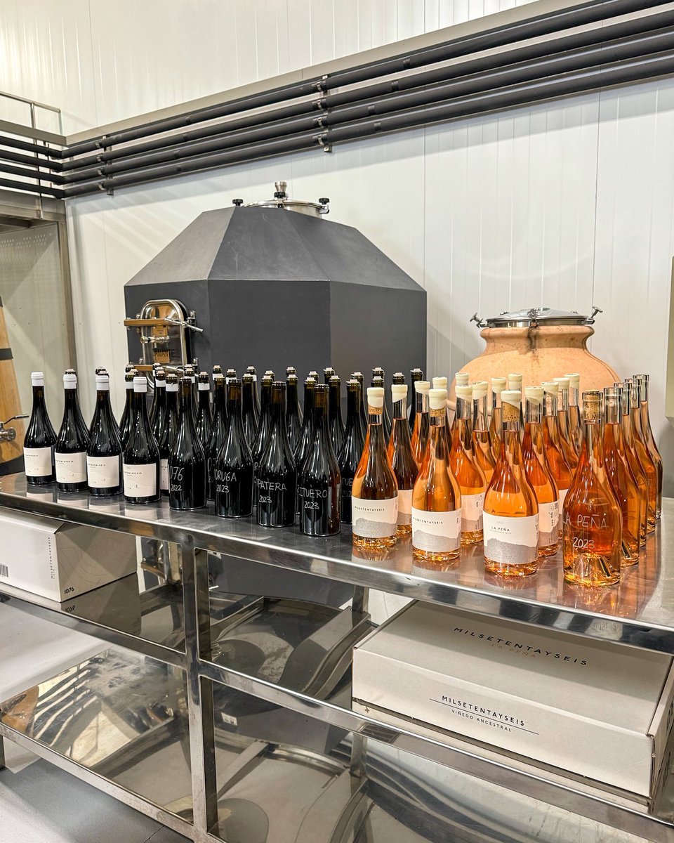 Una visita muy especial a Milsetentayseis, el otro proyecto de Alma Carraovejas en Fuentenebro, en la Ribera del Duero burgalesa. Viticultura a más de 950 metros de altitud con cepas de hasta 120 años. En las últimas añadas los vinos se refinan y ganan en precisión.