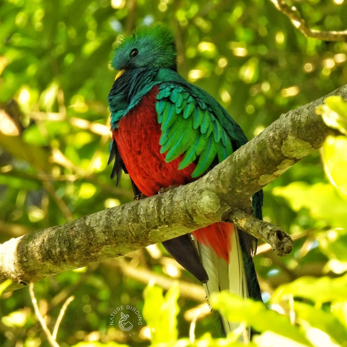 guide_atitlan tweet picture