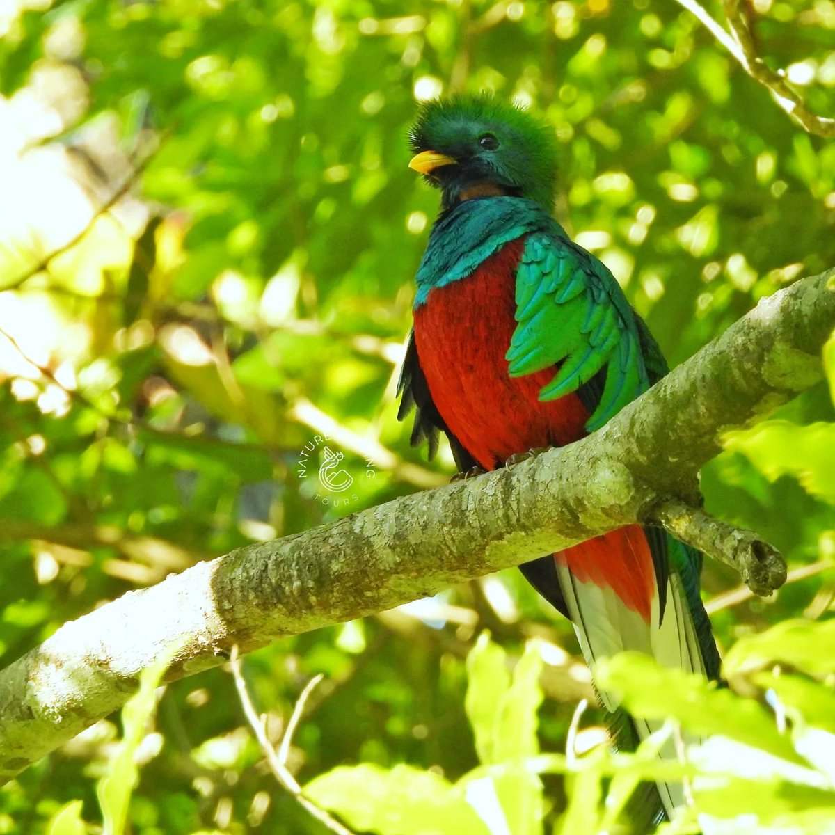guide_atitlan tweet picture