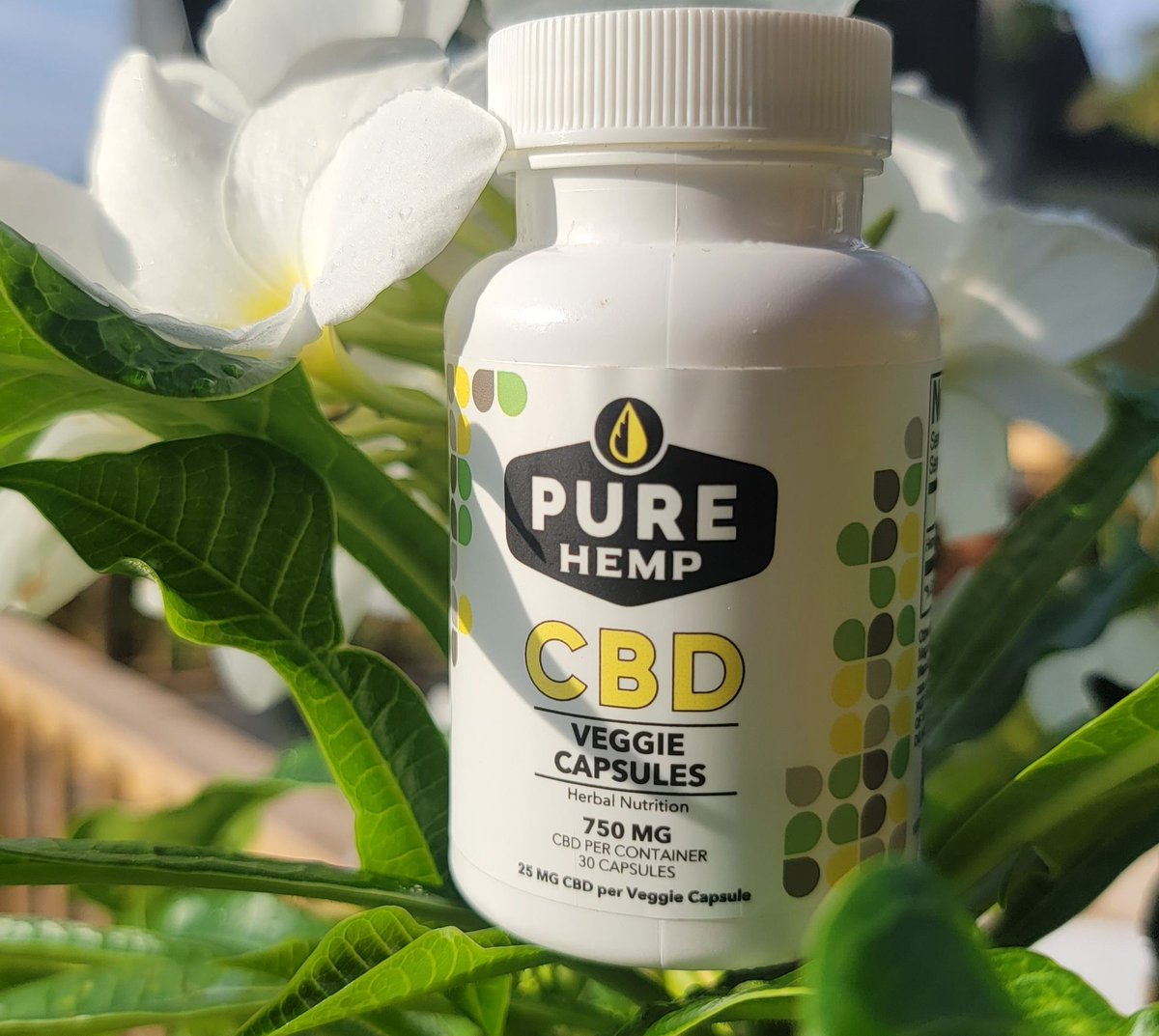 Give your wellness a boost this spring. Check out the Pure Hemp Shop today!! purehempshop.com #PureHempShop #PureHemp #d9 #cbd #d8 #wellness #enjoylife #purebliss #relax #relief #stressrelief #painrelief #chronicpain