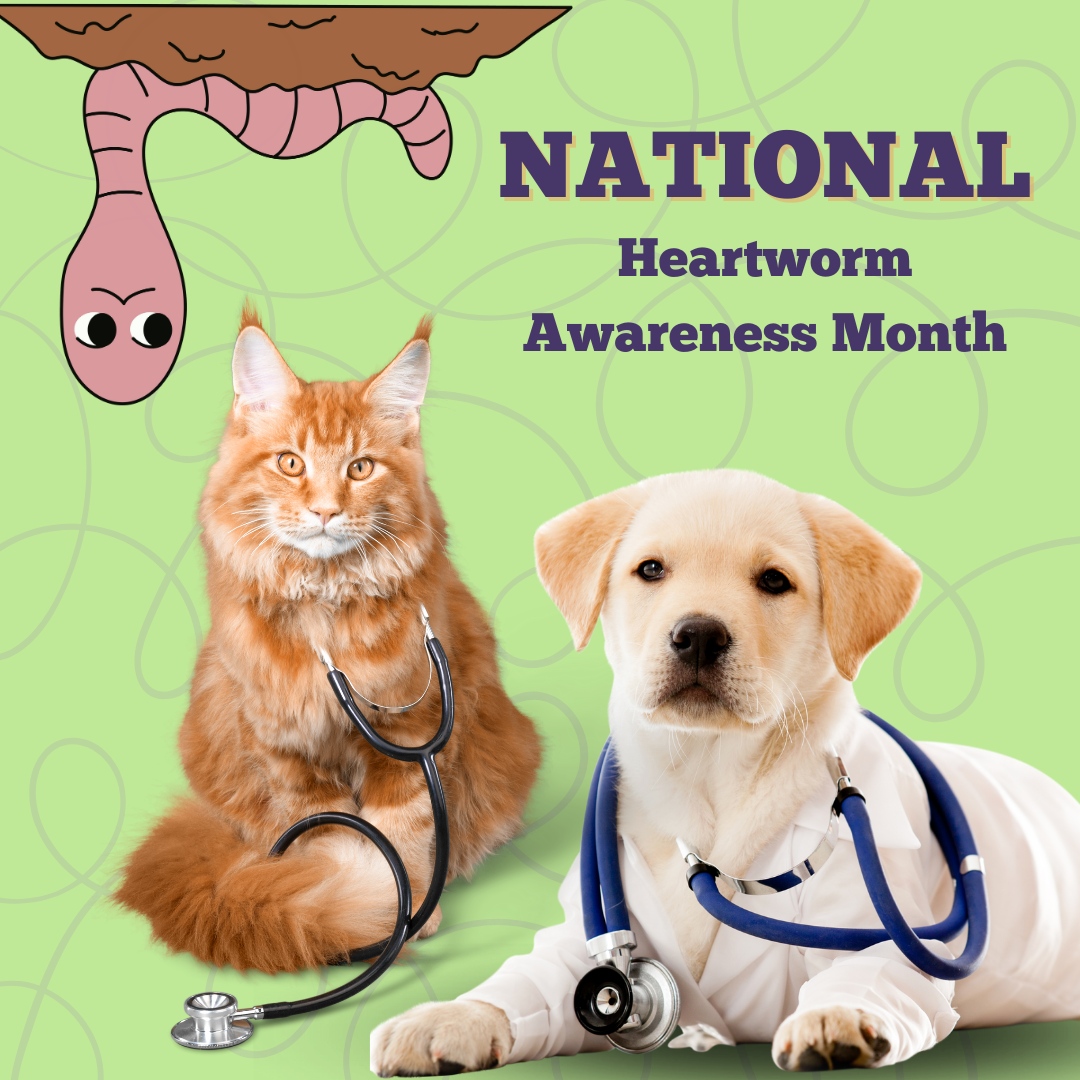 Prevention is the key! Let's keep our pets healthy and heartworm-free this month and always. 🐾🚫 

#AudubonVeterinaryHospital #SaintFrancisville #AnimalHospital #Veterinarian #MicrochippingForPets #EquineServices #DentalCareForPets #PetSurgery #PoultryVetServices