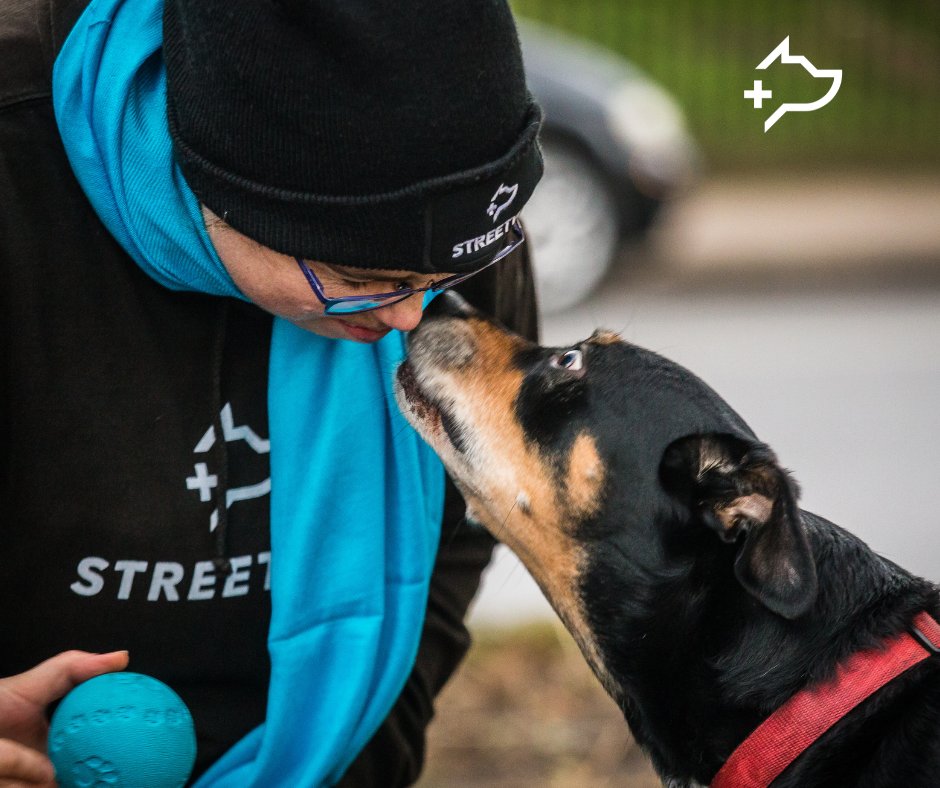 It's #NationalPetMonth! Here at #StreetVet, we celebrate our patients everyday & enjoy watching the joy that pets bring to their owners 💙 Here are a few of our patients to bring a smile to your face 😁 #Fortheloveofanimals