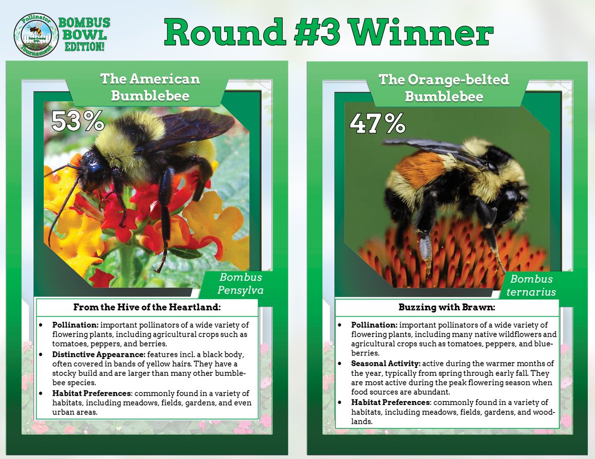 With a whopping 53% of the vote, the American Bumblebee advances to the final round. But whom will they be challenging for the top pollinator spot? Tune in tomorrow (April 3rd) to find out!