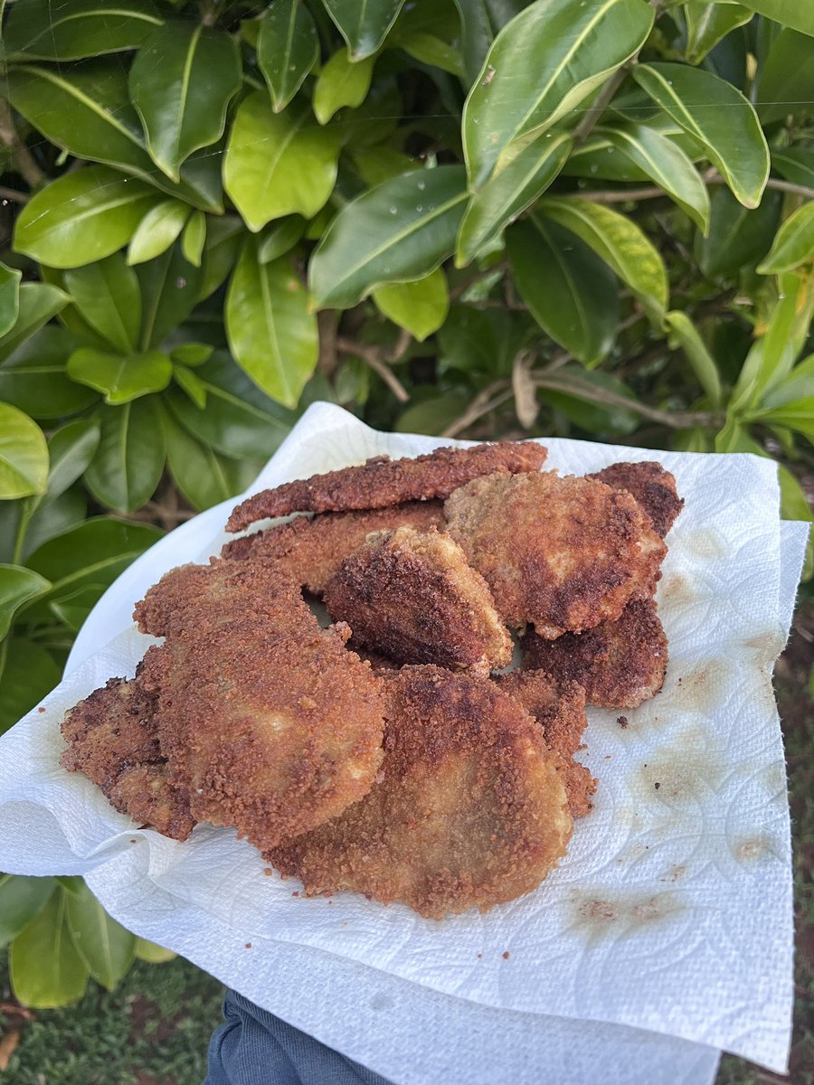 Chicken cutlets the way nature intended (took 6 months to make) 🙃

- Chicken
- Coated in eggs, organic European flour, sourdough bread crumbs, herbs, salt
- Fried in duck fat

The chicken, eggs, duck fat, and herbs all came from my little farm - everything is 100% pasture