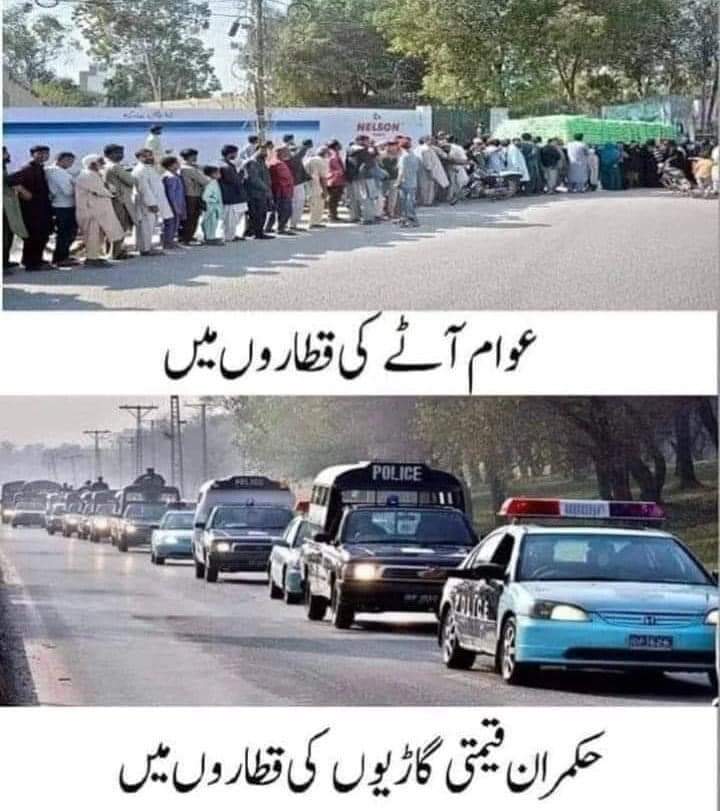 مطالعہ پاکستان کے مطابق پاکستان دنیا کا ساتواں بڑا گندم کا زرعی پیداوار ملک ہے،لیکن یہاں تو استاد شاگرد دونوں لائن میں کھڑے نظر آتے ہے🥹🙂🥲