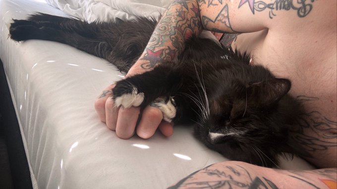 We had a bad dream https://t.co/sPG7sLABeI