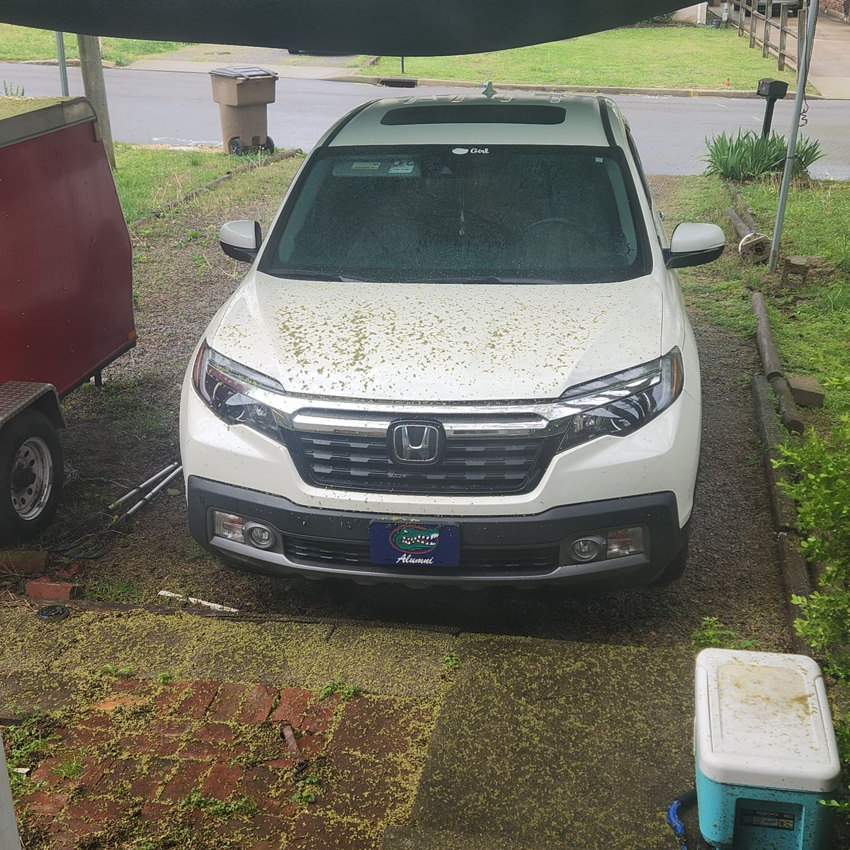 Round one of storms goes to #pollen! #WestNashville <a href="/NashSevereWx/">NashSevereWx</a> <a href="/NWSNashville/">NWS Nashville</a>