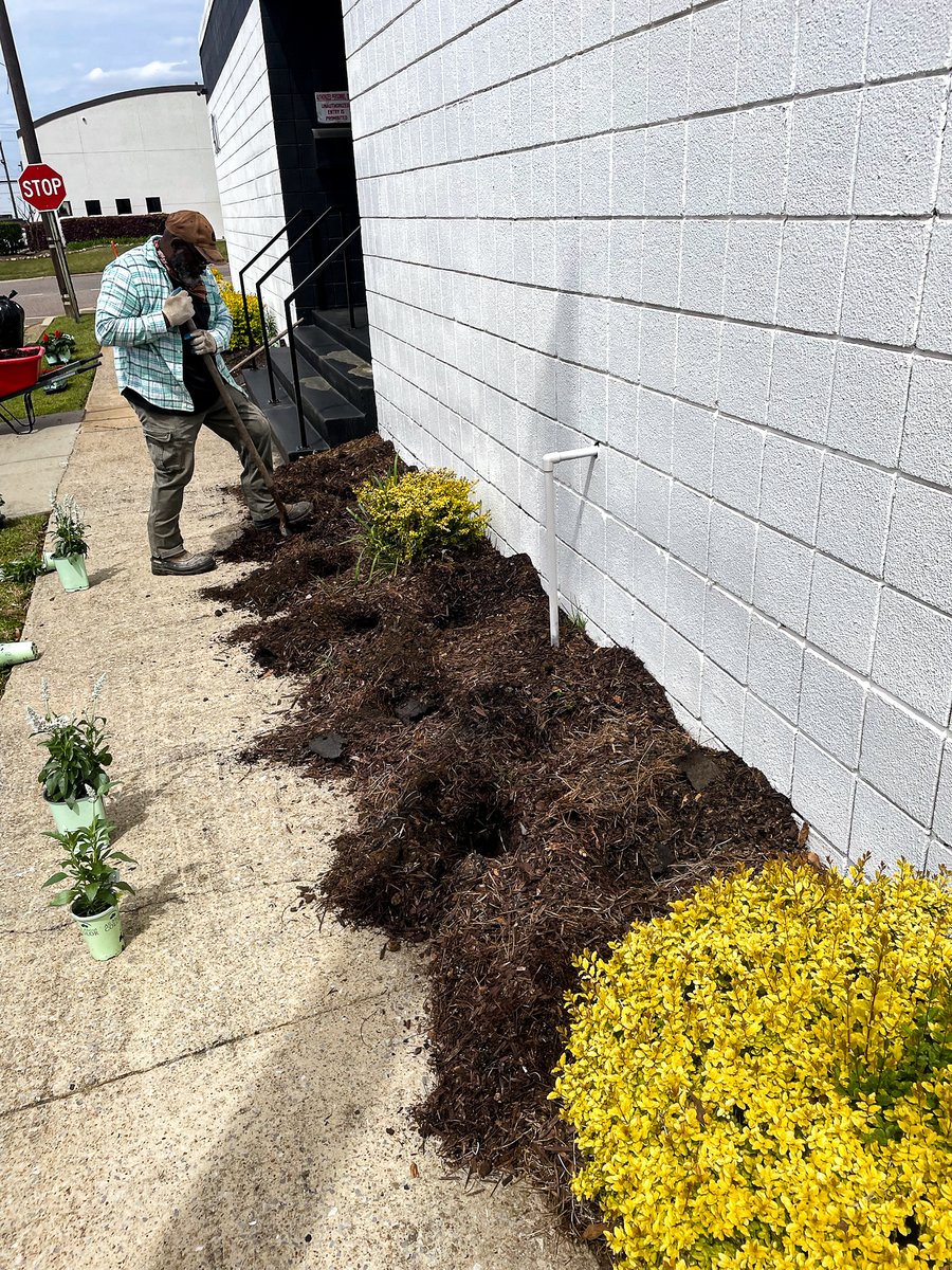 Agnc54's tweet photo. "Keep your eyes peeled for our latest landscape updates at Agency54! 🌿 Stay tuned as we transform our surroundings to inspire creativity and innovation. #Agency54 #LandscapeUpdate #CreativityUnleashed" https://t.co/89ArKWmkl9