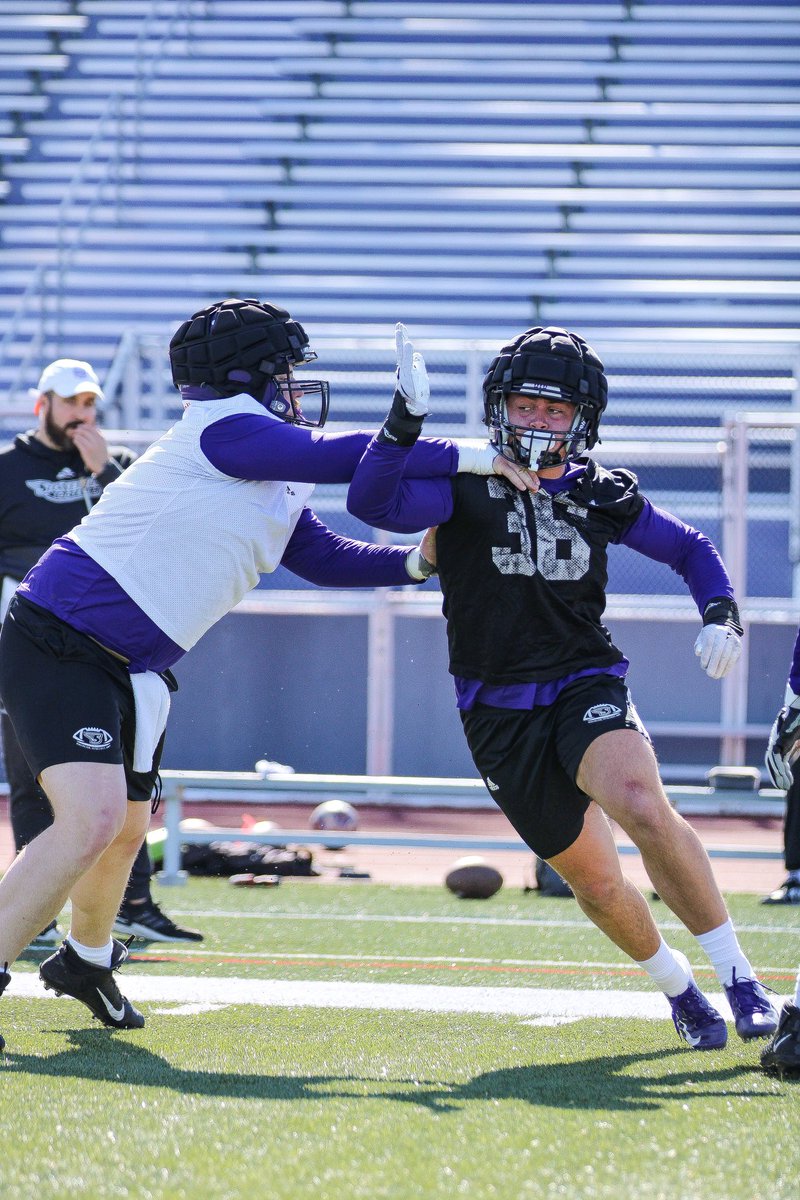 Stonehill Football #DIG tweet media