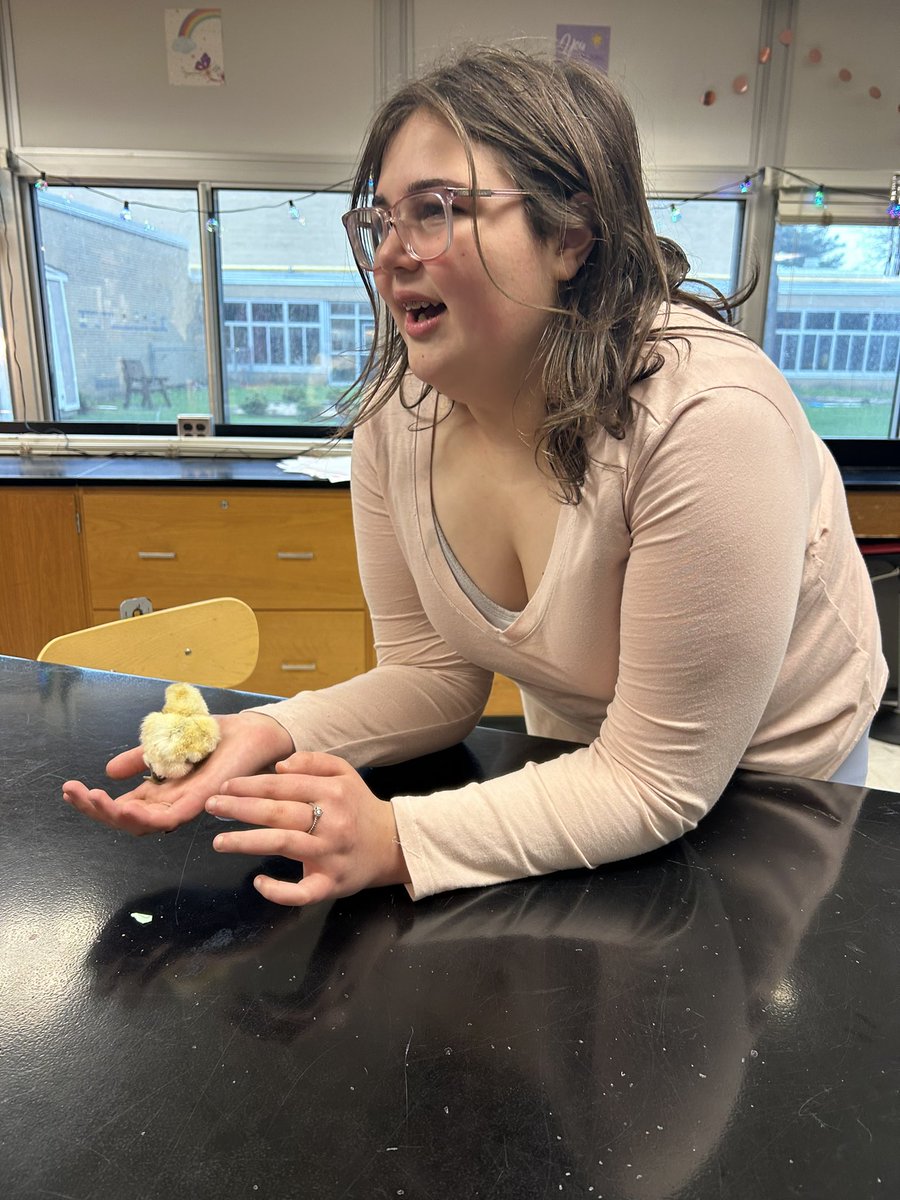 Mrs. Thielemann tweet media