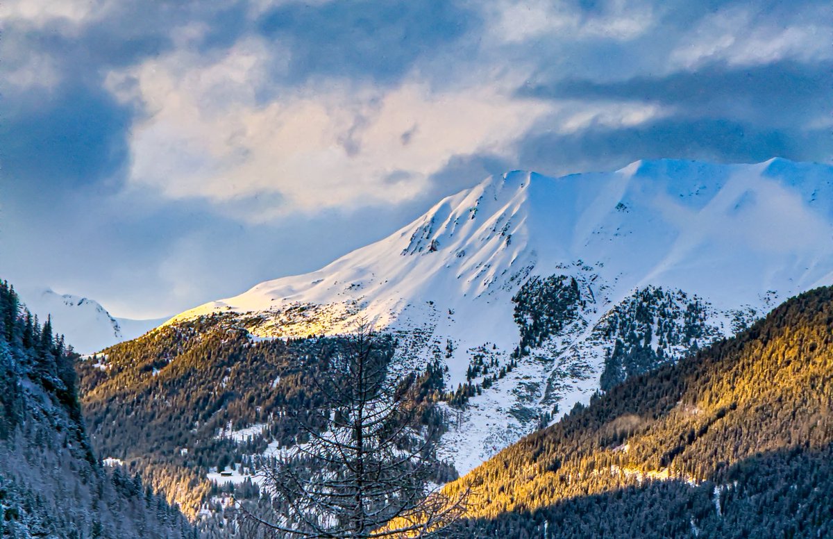 Kann es sein dass man IHN auch so kennt? #mpa