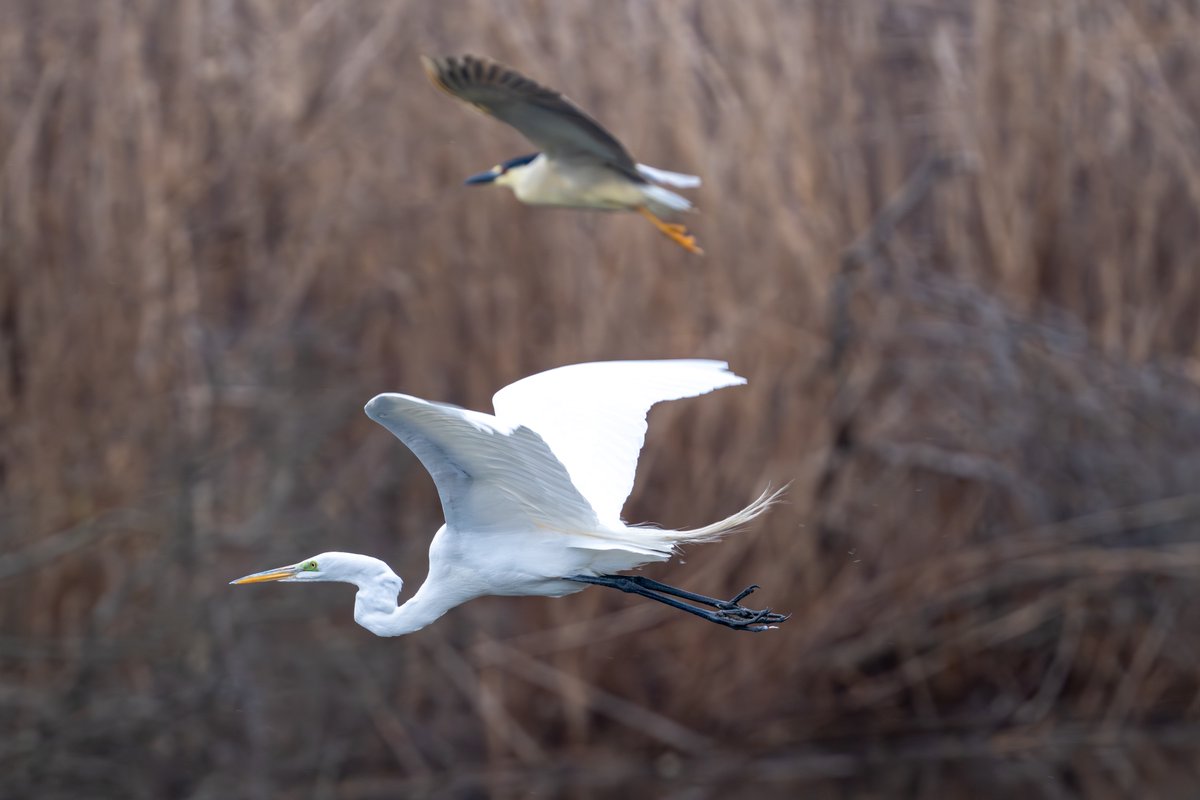 Tracy Pennoyer tweet media