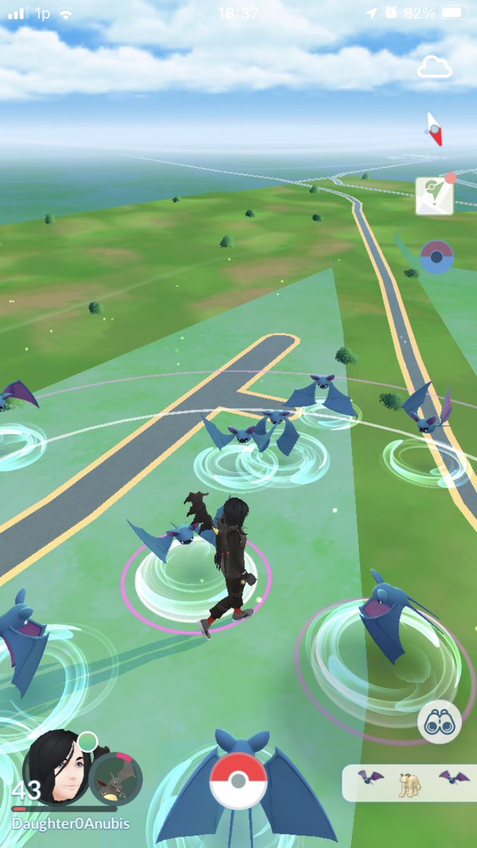 Sarah Colledge tweet media