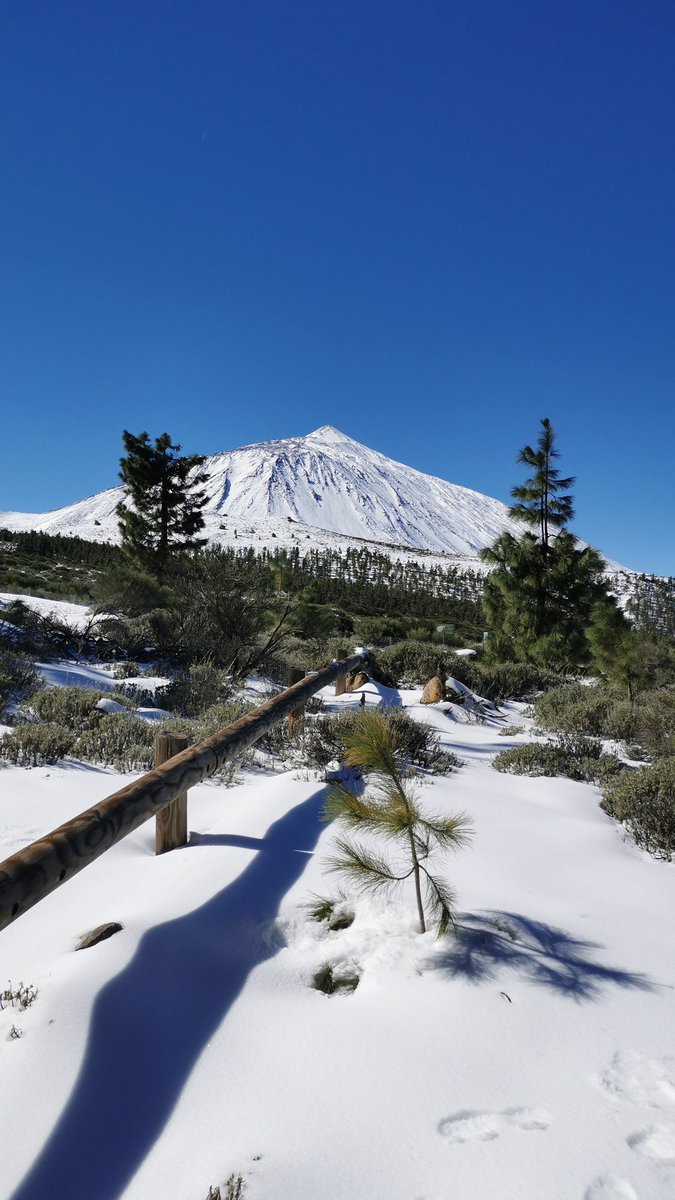 tenerife_meteo tweet picture