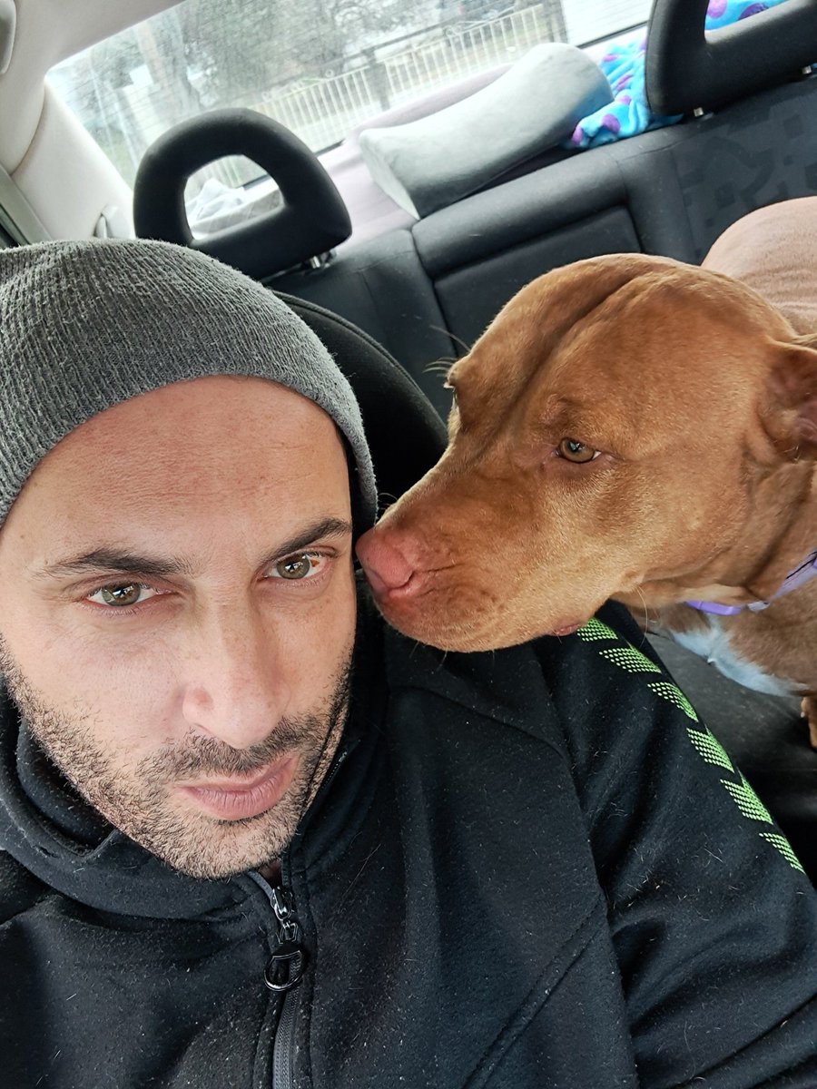 Animals respect ,love ,appreciate by there nature . HUMANS DONT