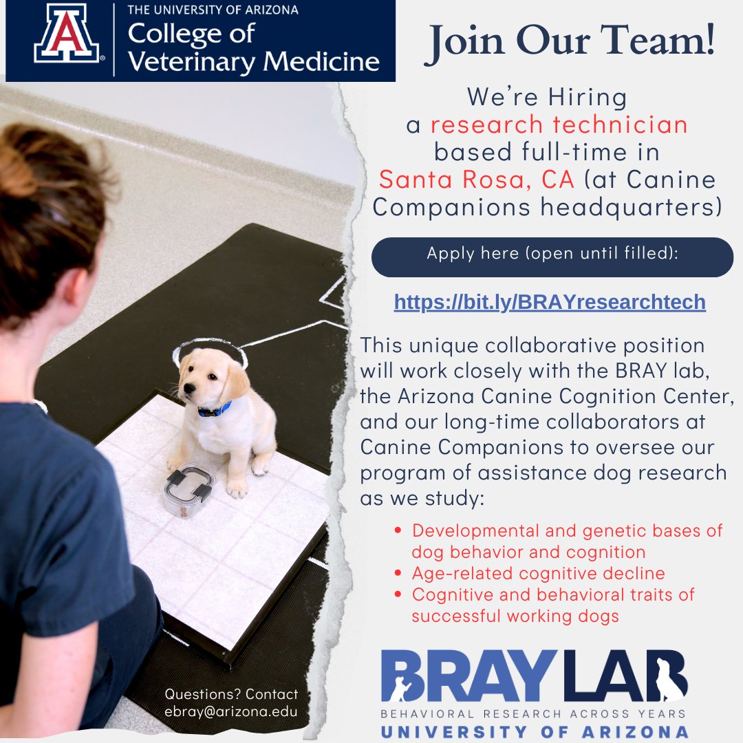 📢We're hiring a @UAZVetMed research tech, based full time at @canineorg in Santa Rosa, CA!📢 Help oversee our innovative program of assistance dog research + answer important questions re: development, genetics, and cognition! Apply (open until filled): bit.ly/BRAYresearchte…