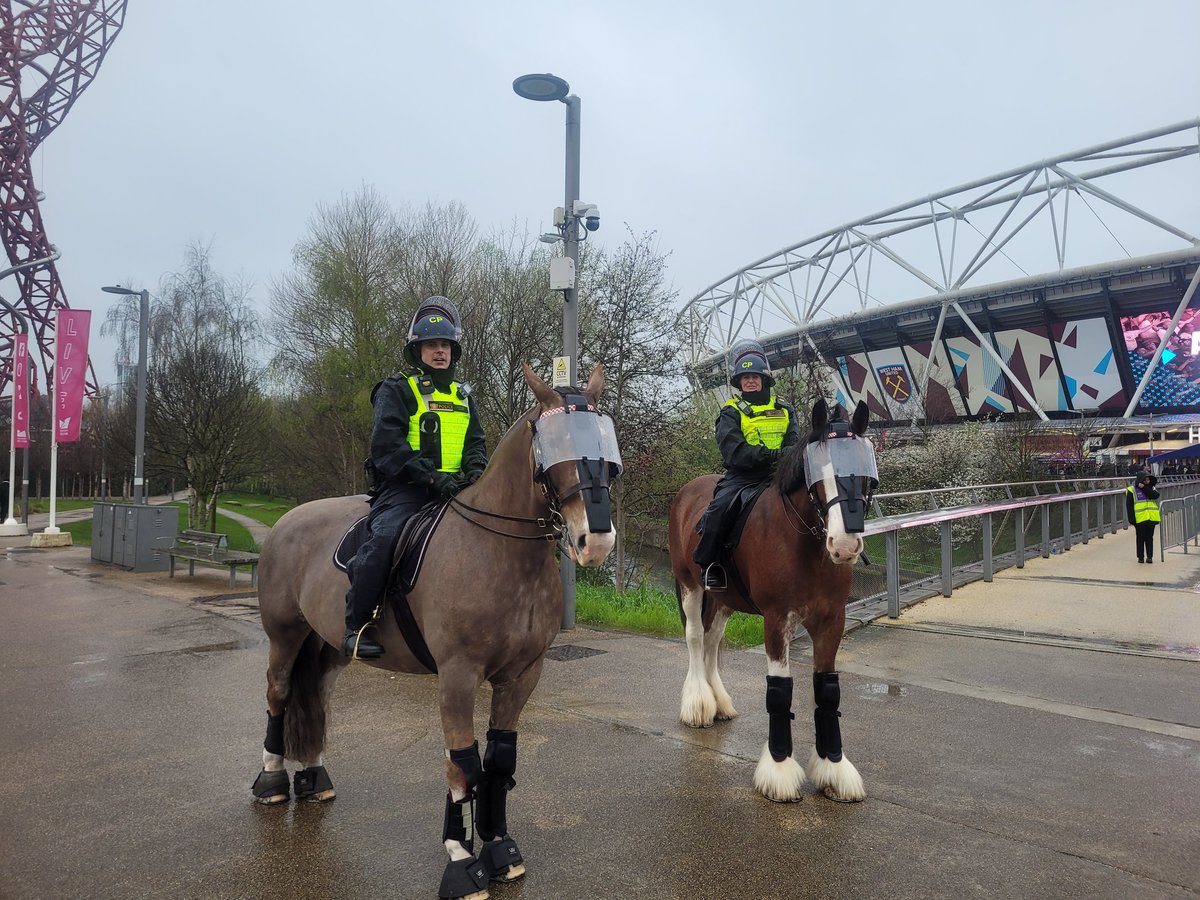 Good to have @CityHorses working with our @MetTaskforce Mounted Branch today at West Ham v Spurs. Bit rainy but they are in good spirits.