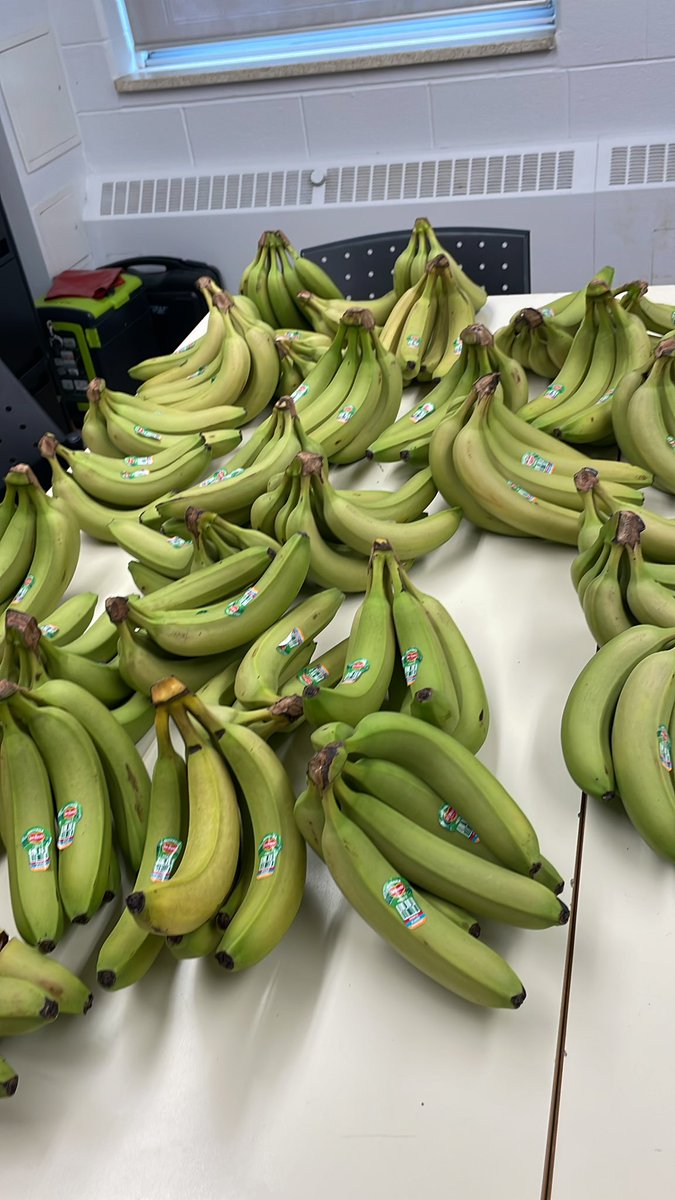 Any suggestions on how to make bananas ripe faster!!?? @TCDSB @AFLToronto