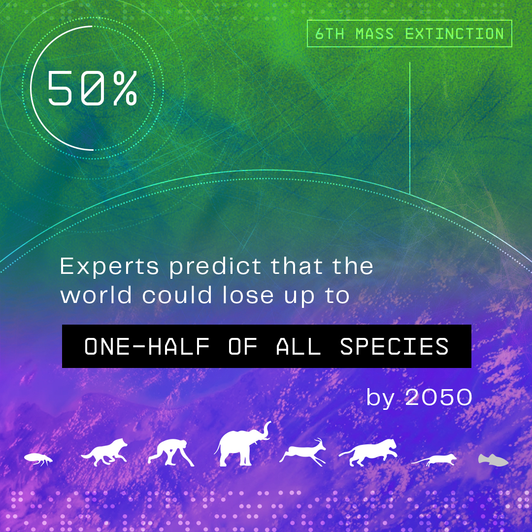 🌎 DYK that Earth's sixth mass extinction is currently underway? #Biodiversity is the key to life (literally) and our planet is in crisis. At Colossal, we're righting past wrongs to safeguard the future. Explore the #conservation work we're doing: colossal.com/conservation