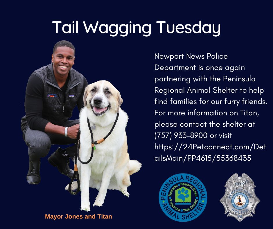 MayorPhilJones's tweet photo. #TailWaggingTuesday! We are excited to partner with Peninsula Regional Animal Shelter to highlight adoptable pets with @NewportNewsPD
Great times with with Titan, a 3-year-old male Great Pyrenees and lab mix. Titan is a big, friendly guy who is looking for a forever home! https://t.co/M3ILsHJnHN