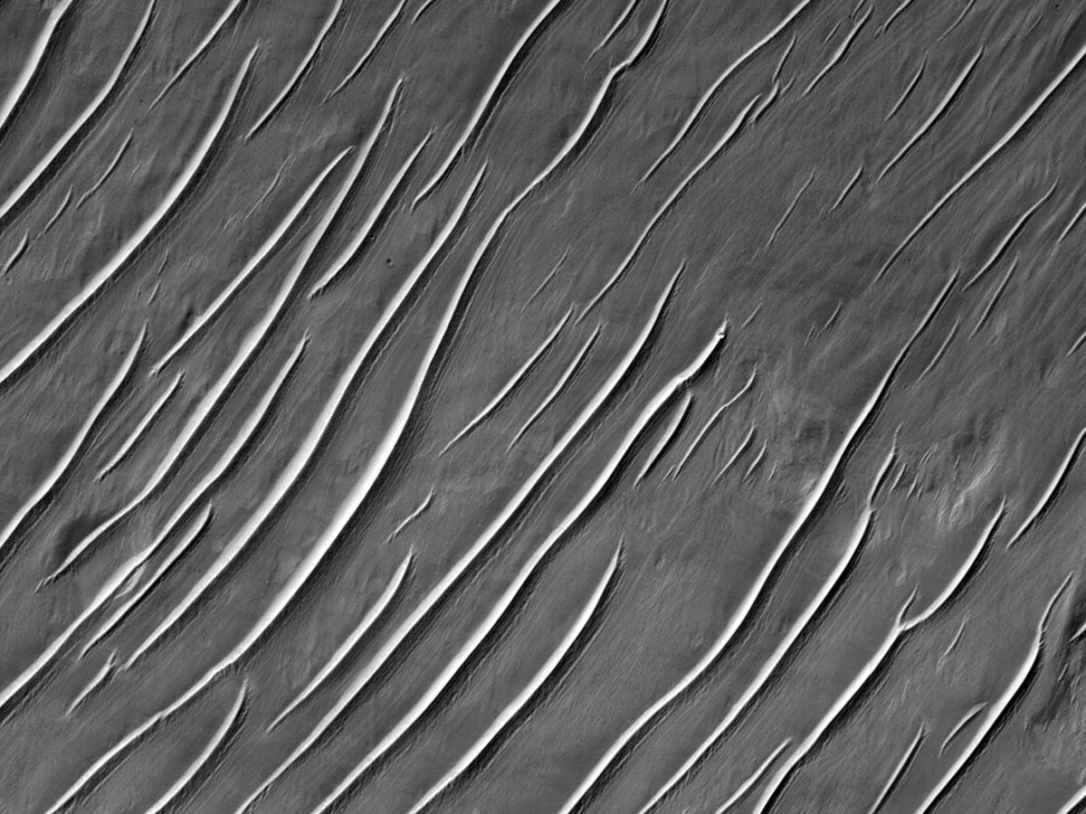 HiRISERussian's tweet photo. HiPOD: Интересные формы рельефа возле карбонатных обнажений

Идентификатор: ESP_051779_1405
Дата съемки: 13 августа 2017 
Высота: 254 км

https://t.co/vXU1J2UPRK
NASA/JPL-Caltech/UArizona
#Марс #НАСА #астрономия #русский https://t.co/gZjiDb78nu