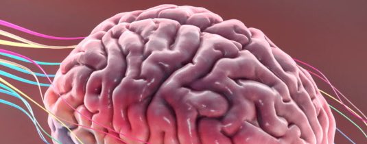 Un trasplante de médula ósea transmite el alzhéimer a ratones sanos

omniprex.com/un-rasplante-d…