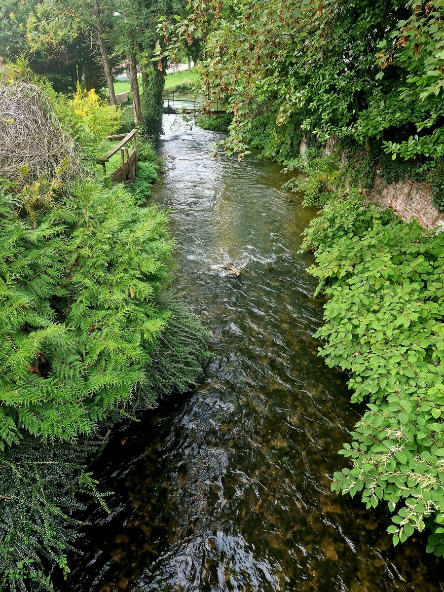 #RuizClub 5k dont 3.5k avec mon ado, trop content. J'en chie grave avec 7kg de plus, c'est le prix du retour 🤣 étirements ✅️ renfo à la salle demain et kiné ✅️ 😀 Partage d'ondes positives #NeverBackDown