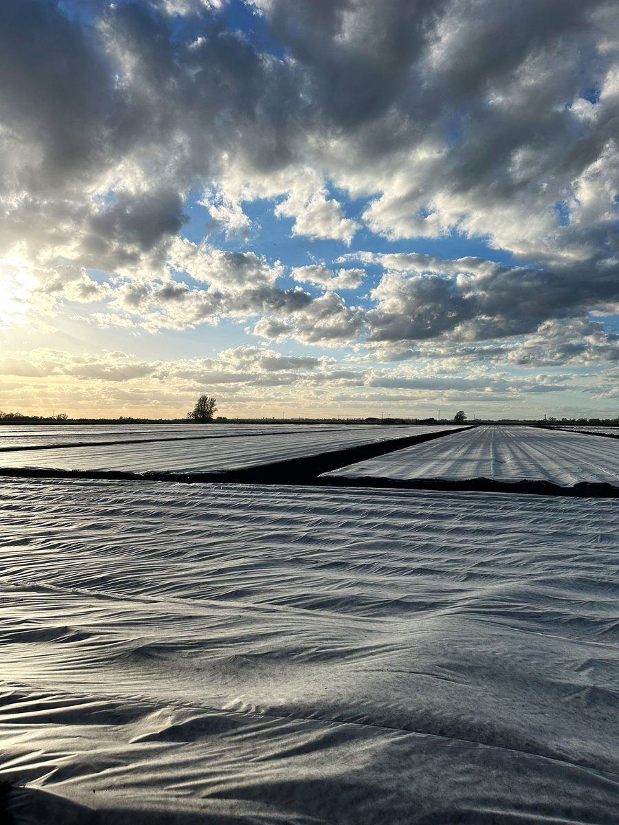 Oliver Dennis tweet media