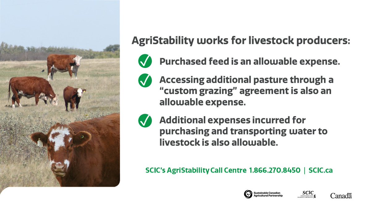 AgriStability isn't just for grain farming - it works for livestock operations too! 

Features of the #AgriStability Program can support many financial challenges caused by dry growing conditions and low feed supply. 

☎️1-866-270-8450

<a href="/SaskCattlemens/">Sask Beef</a> <a href="/SK_StockGrowers/">SK Stock Growers</a> #SaskAg