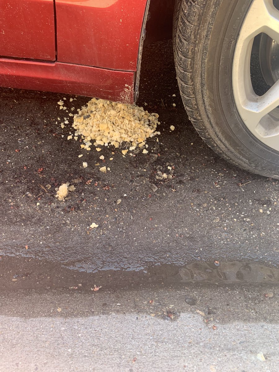 gwyn 🧘♀️ 🏌️♀️ tweet media