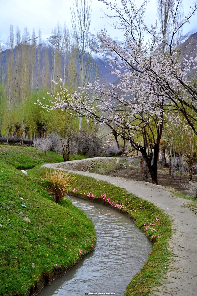 You are a child of spring. #GilgitBaltistan #Spring #Water