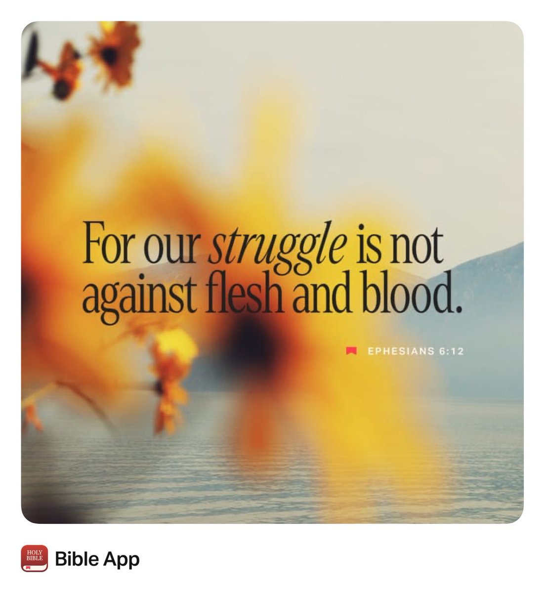 LoveKeyara's tweet image. 