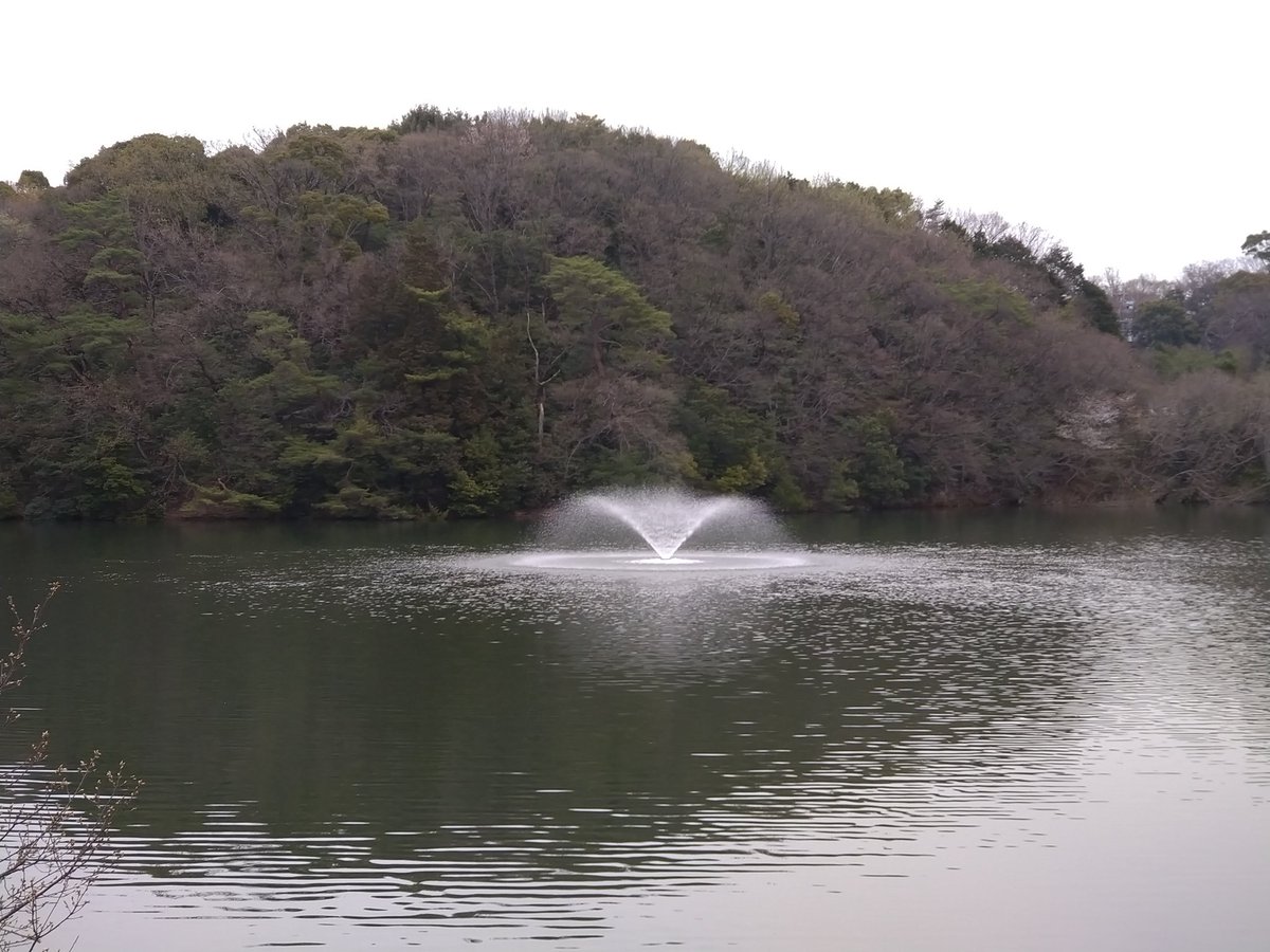 愛知県岡崎市大谷公園
なんか雰囲気がダム湖みたいな暗い雰囲気でしたね
2度と行くことはないでしょう