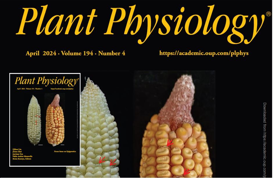 The April 2024 issue of Plant Physiology is now online! Read this special Focus Issue on Epigenetics here: buff.ly/3owatFD @ASPB @OxUniPress #PlantSci