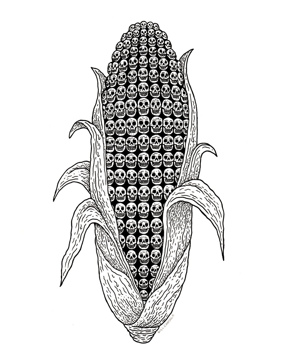 Some corn I drew in 2013