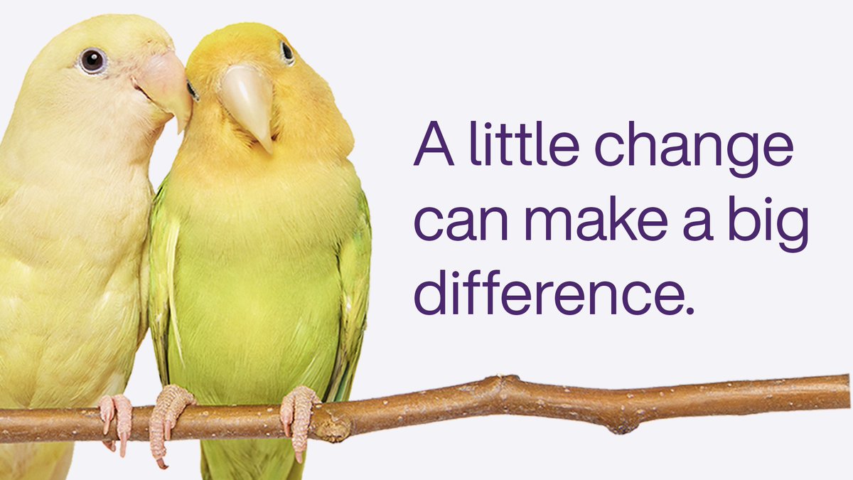 🕊️ Spread your wings this spring and uplift youth. 🌼 By rounding up your TELUS bill, you support youth-focused charities and provide opportunity for young minds. Join telus.com/ChangeForGood to create a brighter future. #GiveWhereWeLive #FutureFriendly #TeamTELUS