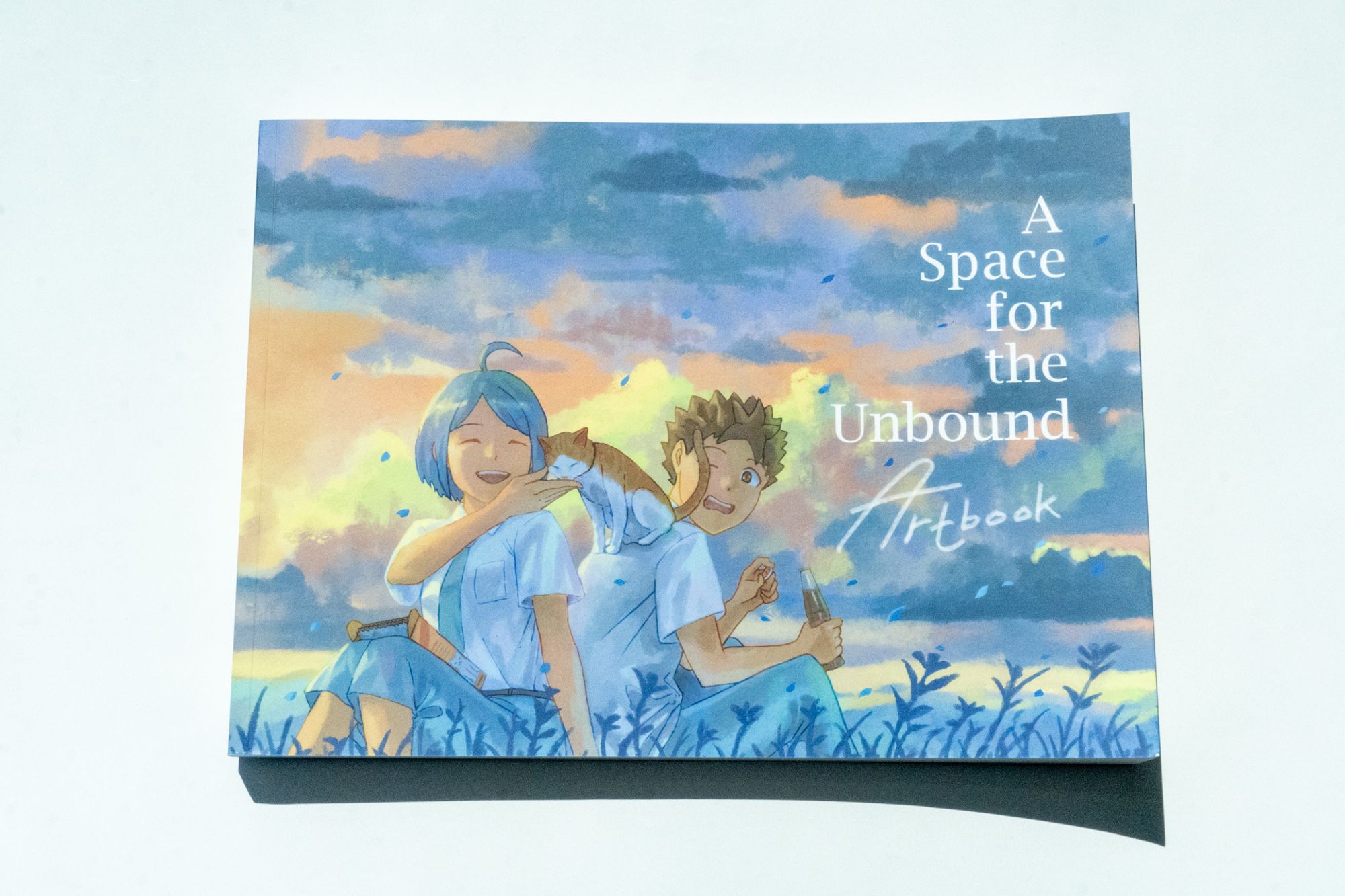 a space for the unbound Artbook アートブック A SPACE FOR THE