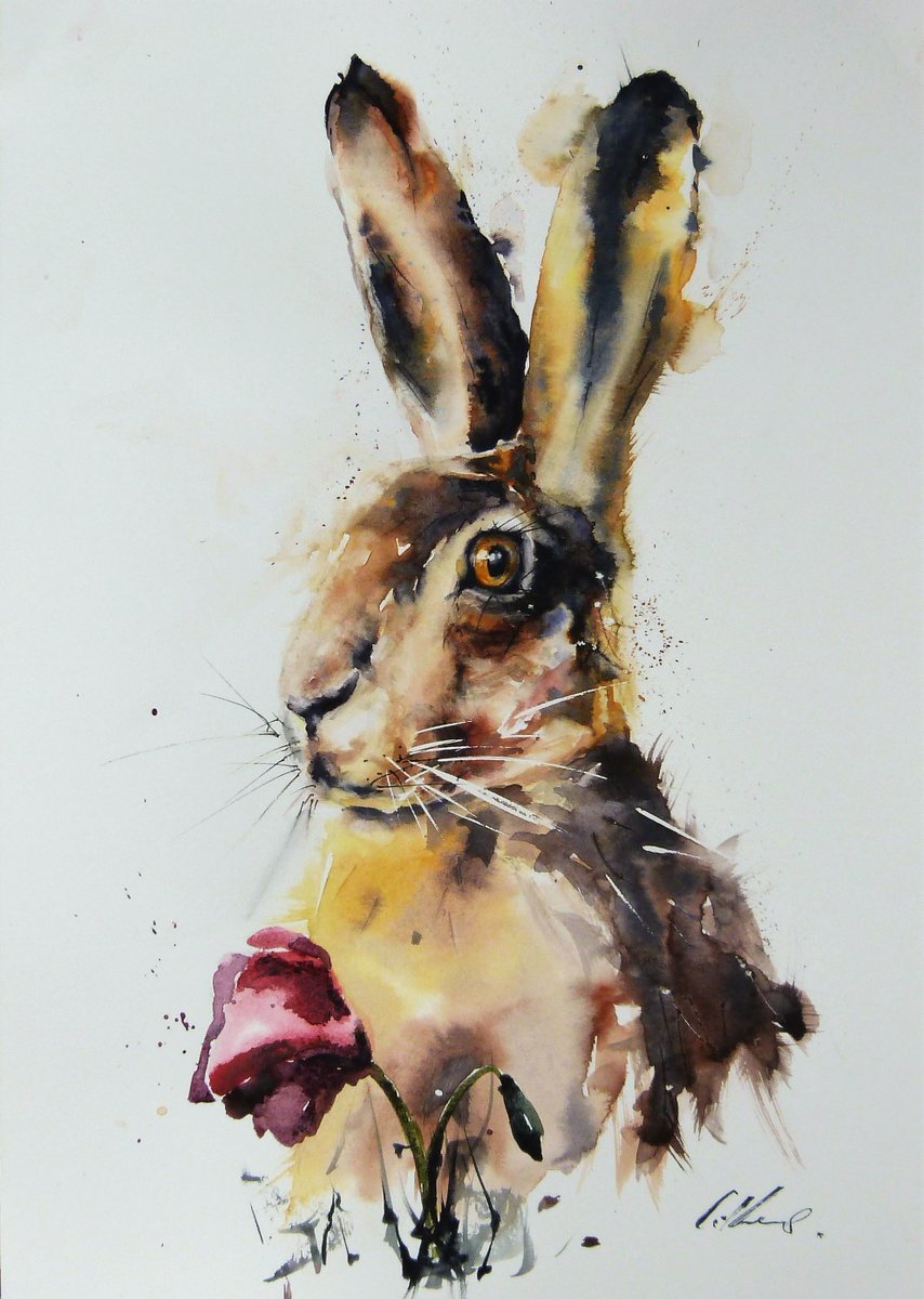 Hare Portrait, watercolour. He sat still for hours, no carrot required. #watercolour #art